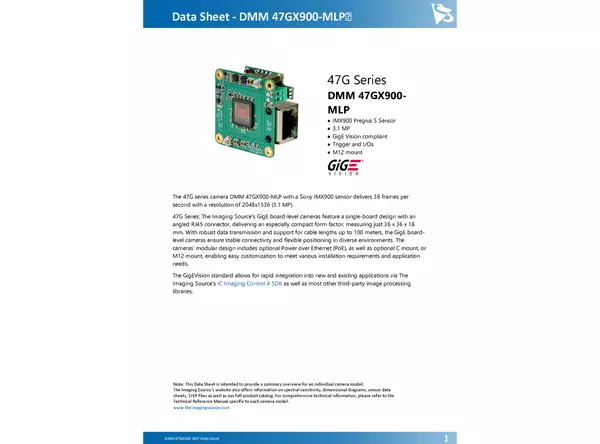 DMM 47GX900-MLP Data Sheet