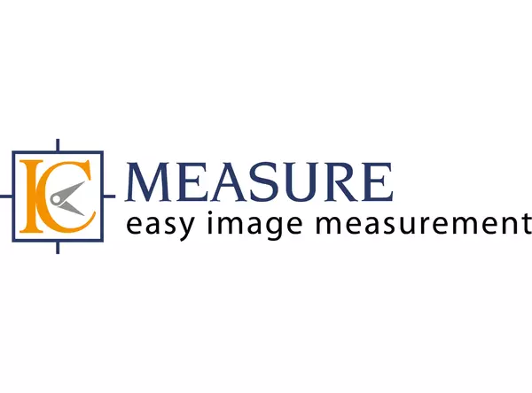IC Measure Logo